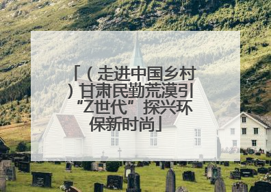（走进中国乡村）甘肃民勤荒漠引“Z世代”探兴环保新时尚