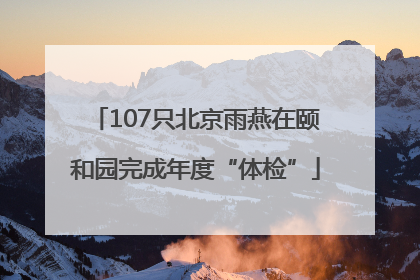 107只北京雨燕在颐和园完成年度“体检”