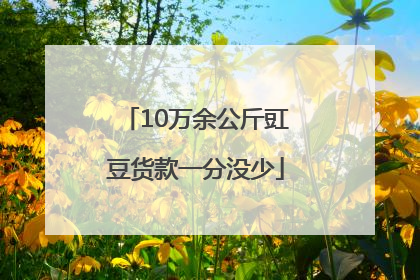 10万余公斤豇豆货款一分没少