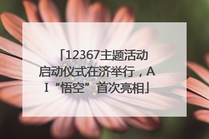 12367主题活动启动仪式在济举行，AI“悟空”首次亮相