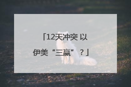 12天冲突 以伊美“三赢”？