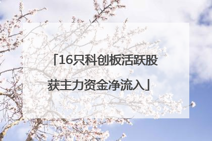 16只科创板活跃股获主力资金净流入