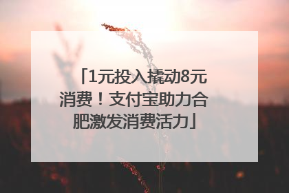 1元投入撬动8元消费！支付宝助力合肥激发消费活力