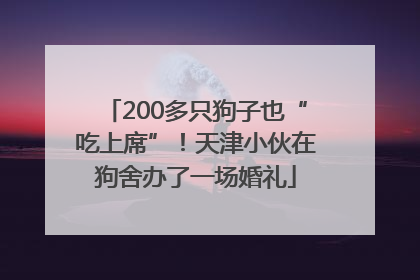 200多只狗子也“吃上席”！天津小伙在狗舍办了一场婚礼