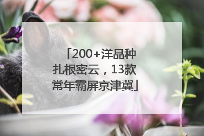 200+洋品种扎根密云，13款常年霸屏京津冀