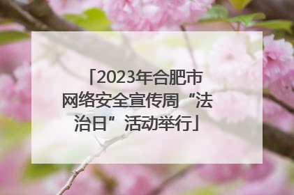 2023年合肥市网络安全宣传周“法治日”活动举行
