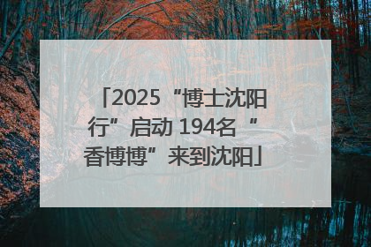 2025“博士沈阳行”启动 194名“香博博”来到沈阳