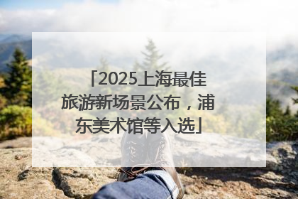 2025上海最佳旅游新场景公布，浦东美术馆等入选
