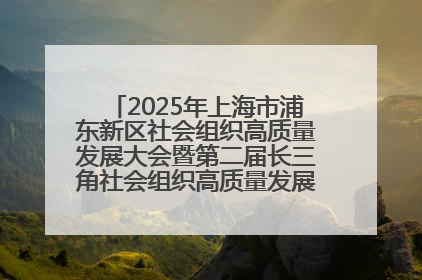 2025年上海市浦东新区社会组织高质量发展大会暨第二届长三角社会组织高质量发展峰会成功举办