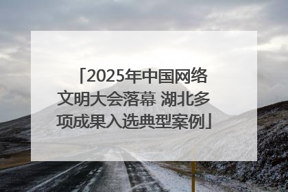 2025年中国网络文明大会落幕 湖北多项成果入选典型案例