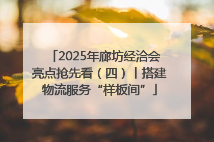 2025年廊坊经洽会亮点抢先看（四）丨搭建物流服务“样板间”