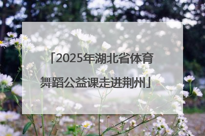 2025年湖北省体育舞蹈公益课走进荆州