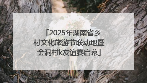 2025年湖南省乡村文化旅游节联动地暨金洞村k友谊赛启幕