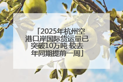 2025年杭州空港口岸国际货运量已突破10万吨 较去年同期提前一周