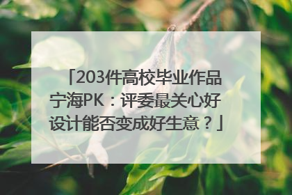 203件高校毕业作品宁海PK：评委最关心好设计能否变成好生意？
