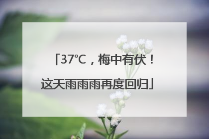 37℃，梅中有伏！这天雨雨雨再度回归