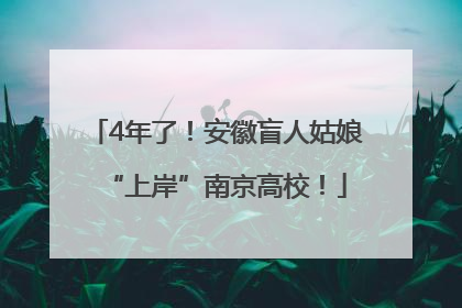 4年了！安徽盲人姑娘“上岸”南京高校！