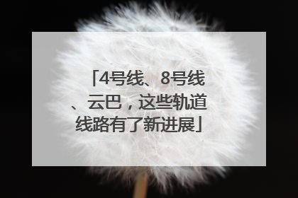 4号线、8号线、云巴，这些轨道线路有了新进展