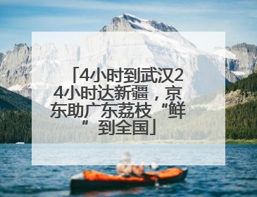 4小时到武汉24小时达新疆，京东助广东荔枝“鲜”到全国