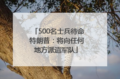 500名士兵待命 特朗普：将向任何地方派遣军队