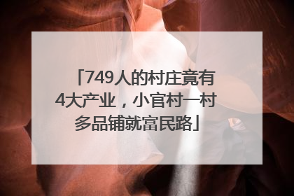 749人的村庄竟有4大产业，小官村一村多品铺就富民路