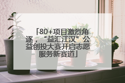 80+项目激烈角逐，“益汇江汉”公益创投大赛开启志愿服务新赛道