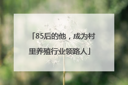 85后的他，成为村里养殖行业领路人