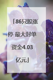 86只股涨停 最大封单资金4.03亿元