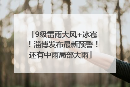 9级雷雨大风+冰雹！淄博发布最新预警！还有中雨局部大雨