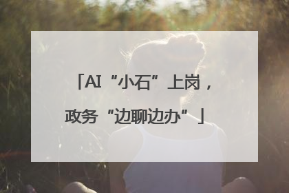 AI“小石”上岗，政务“边聊边办”