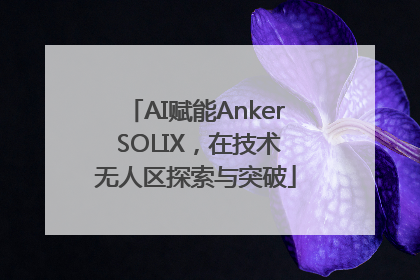 AI赋能Anker SOLIX，在技术无人区探索与突破