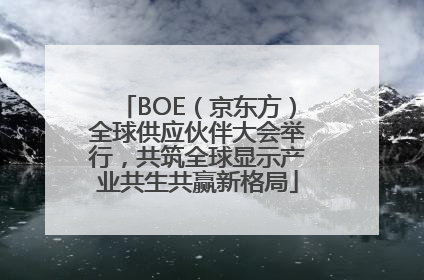 BOE（京东方）全球供应伙伴大会举行，共筑全球显示产业共生共赢新格局