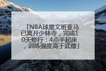 NBA球星文班亚马已离开少林寺，完成10天修行：4点半起床，训练强度高于武僧