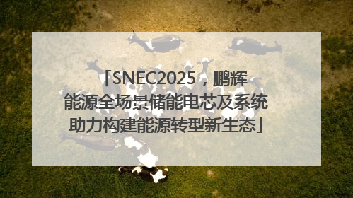 SNEC2025，鹏辉能源全场景储能电芯及系统助力构建能源转型新生态